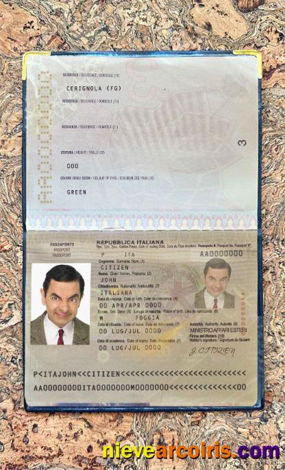 Italy passport photolook
